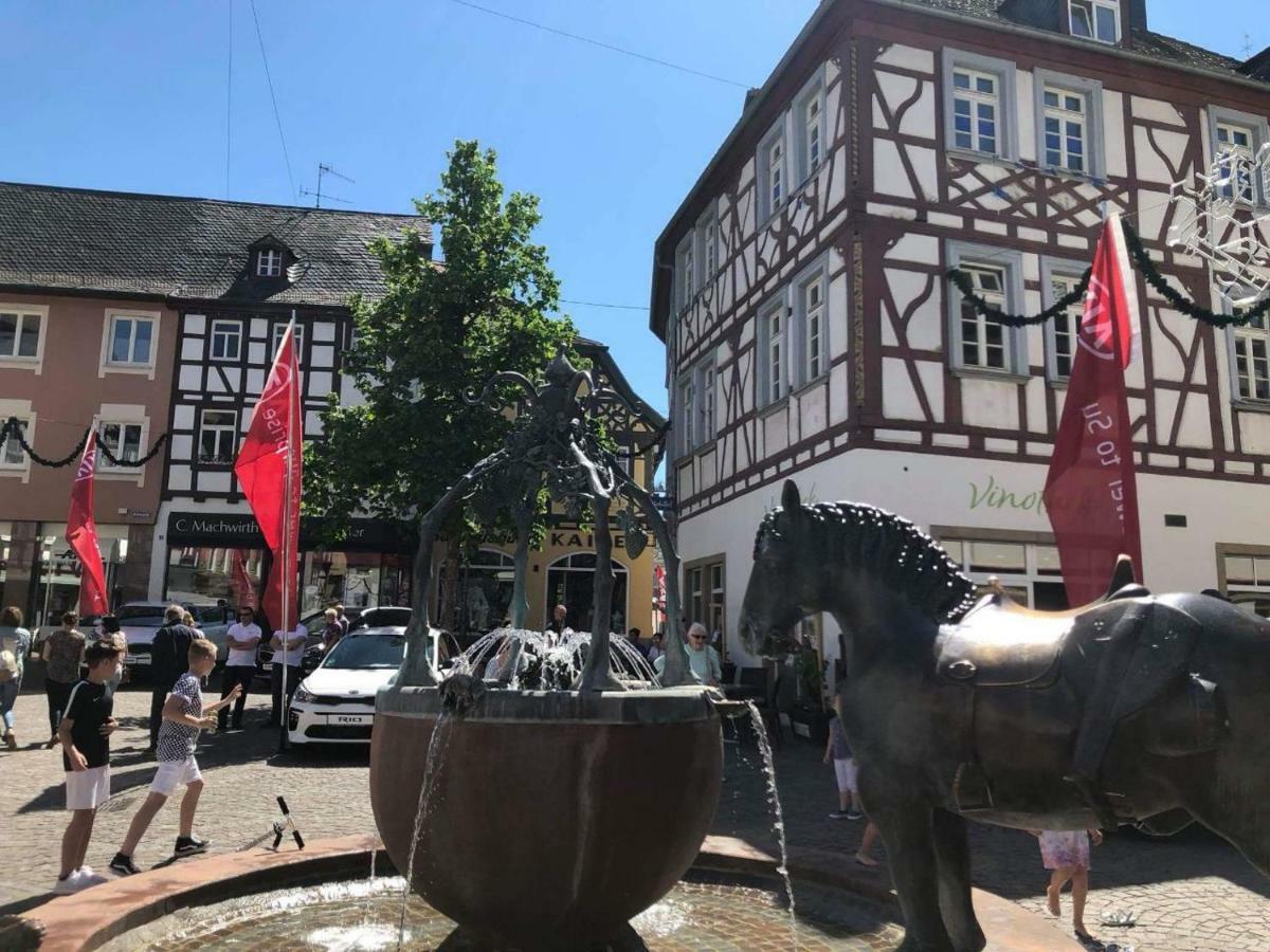 Monteurwohnung Ha-Wei -90 M2 Hangen-Weisheim 外观 照片